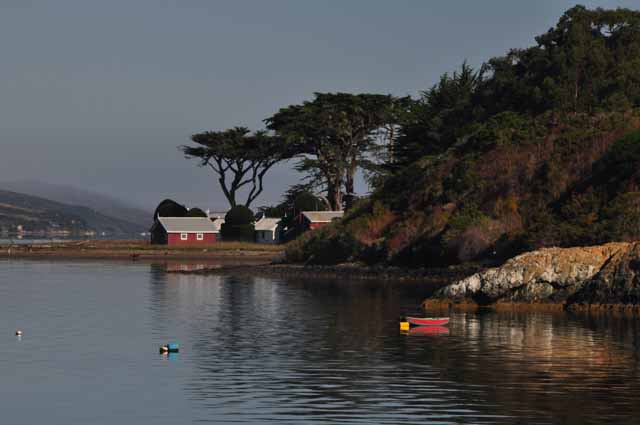 Tomales Bay